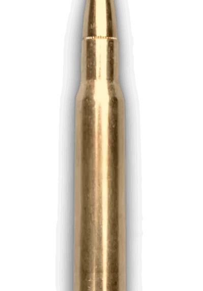 gun training in chicago represented by a bullet | Concealed Carry Safety For Personal Defense Inc